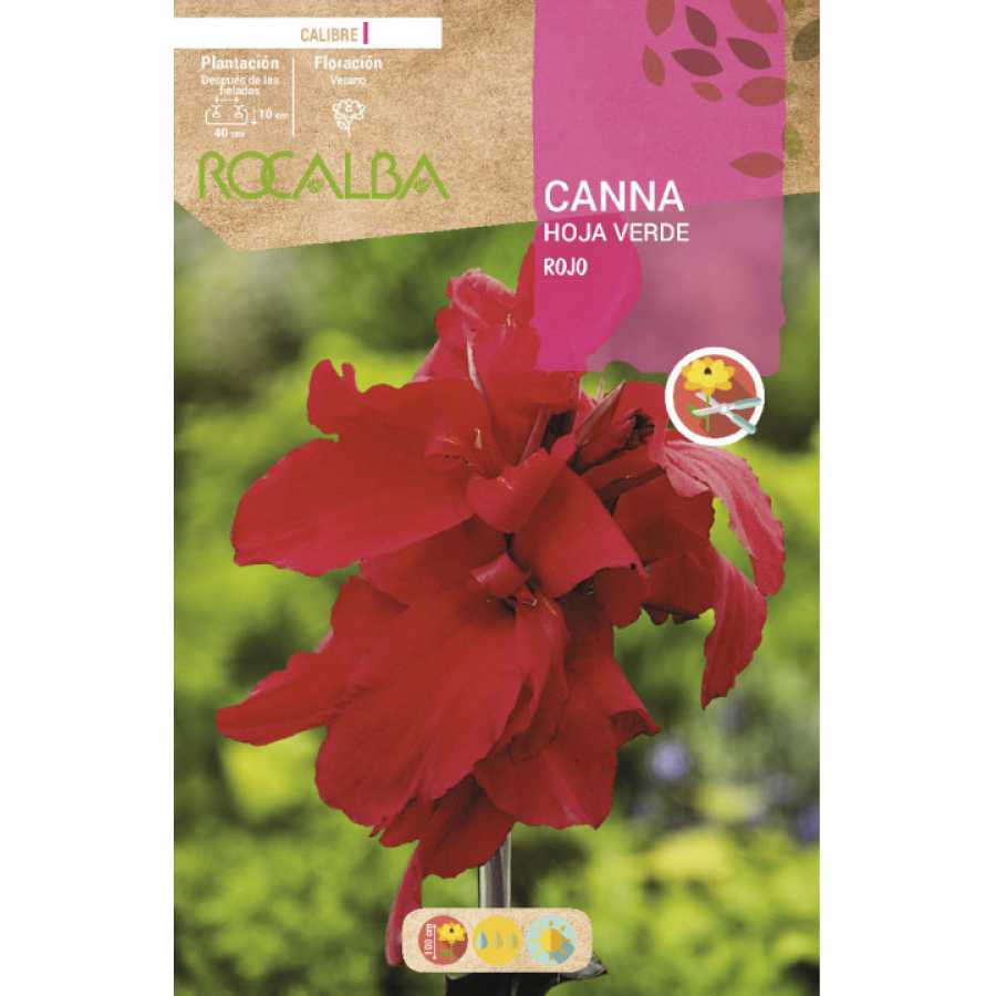 S.BOLBO RO.GAVETA CANAS FOLHA VERDE - ROJO BUCV3035