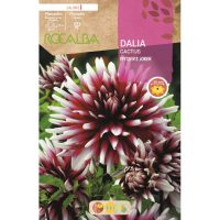 S.BOLBO RO.GAVETA DALIAS PFITZER'S JOKER - BUDC2365