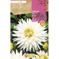 S.BOLBO RO.GAVETA DALIAS BRANCO MY LOVE - BUDC2395
