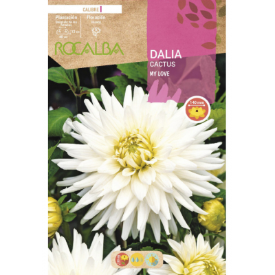 S.BOLBO RO.GAVETA DALIAS BRANCO MY LOVE - BUDC2395
