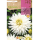 S.BOLBO RO.GAVETA DALIAS BRANCO MY LOVE - BUDC2395