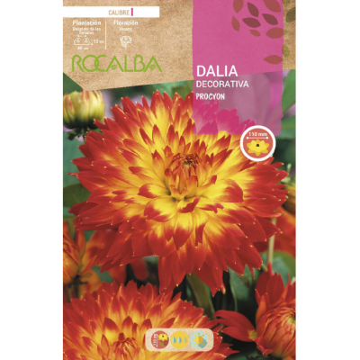S.BOLBO RO.GAVETA DALIAS PROCYON - BUDD2335