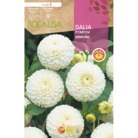S.BOLBO RO.GAVETA DALIAS POMPON SNOWFLAKE -BUDP2465