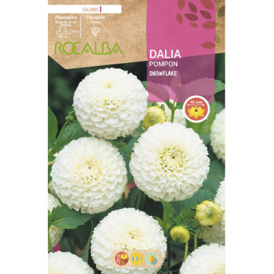 S.BOLBO RO.GAVETA DALIAS POMPON SNOWFLAKE -BUDP2465