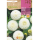 S.BOLBO RO.GAVETA DALIAS POMPON SNOWFLAKE -BUDP2465