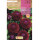 S.BOLBO RO.GAVETA DALIAS POMPON DOWNHAM ROYAL -BUDP2485