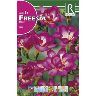 S.BOLBO RO.GAVETA 150 FRESIA DOBRADA ROSA -BUFD1455