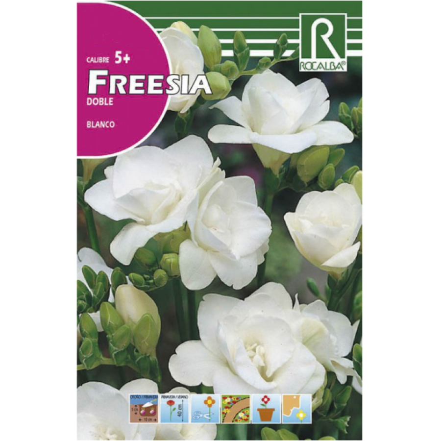 S.BOLBO RO.GAVETA 150 FRESIAS DOBRADA BRANCO -BUFD1460 S.BOLBO RO.GAVETA 150 FRESIAS DOBRADA BRANCO -BUFD1460