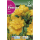 S.BOLBO RO.GAVETA 150 FRESIAS DOBRADA  AMARELO -BUFD1470