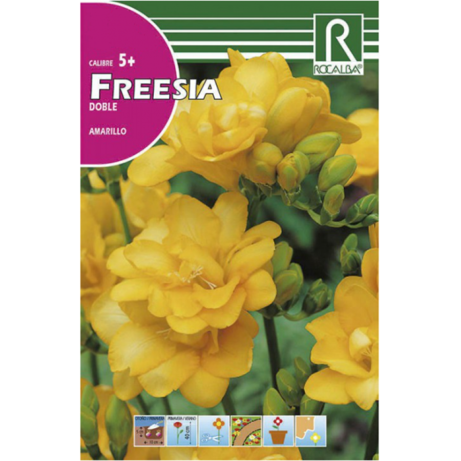 S.BOLBO RO.GAVETA 150 FRESIAS DOBRADA  AMARELO -BUFD1470