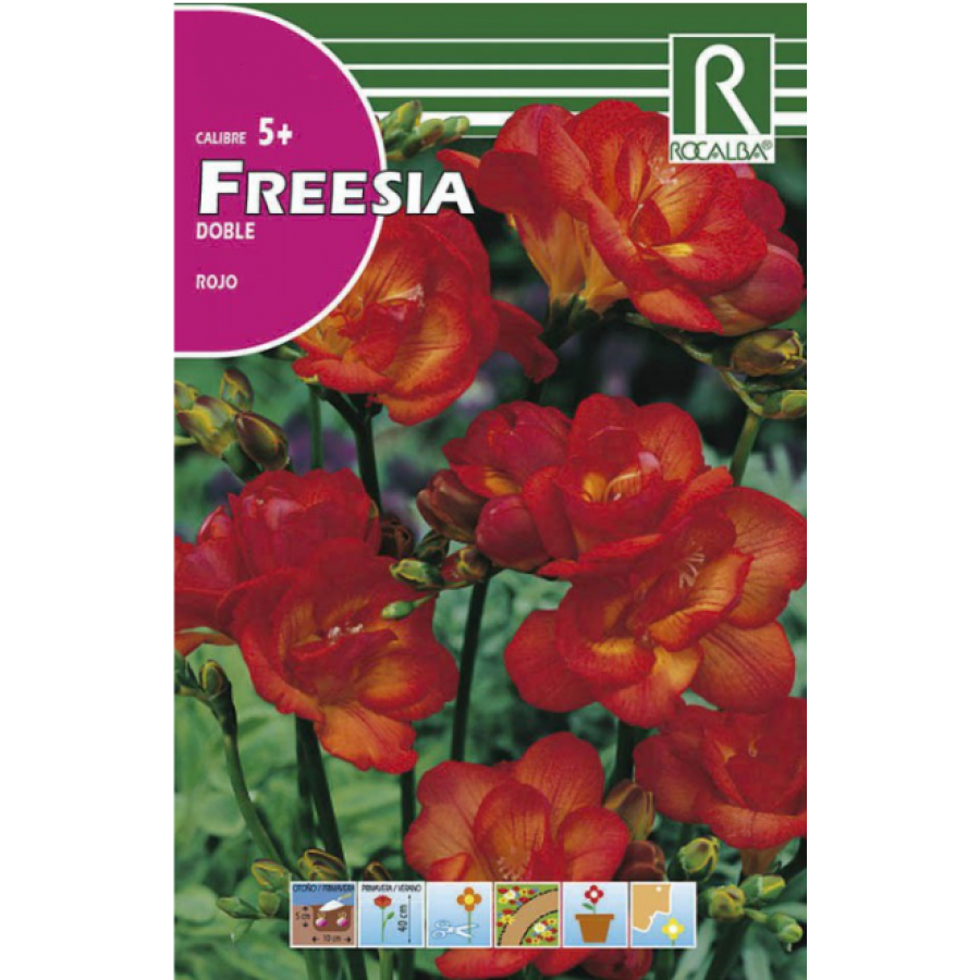 S.BOLBO RO.GAVETA 150 FRESIAS DOBRADA VERMELHO -BUFD1475