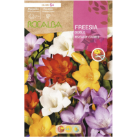 S.BOLBO RO.GAVETA 150 FRESIAS DOBRADA MISTURA DE CORES -BUFD1480
