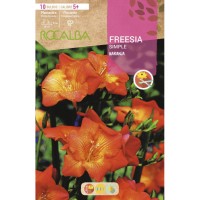 S.BOLBO RO.GAVETA 150 FRESIAS SIMPLES LARANJA<br> -BUFD1415
