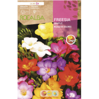 S.BOLBO RO.GAVETA 150 FRESIAS SIMPLES MISTURA DE CORES -BUFD1435 S.BOLBO RO.GAVETA 150 FRESIAS SIMPLES MISTURA DE CORES -BUFD1435