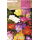 S.BOLBO RO.GAVETA 150 FRESIAS SIMPLES MISTURA DE CORES -BUFD1435