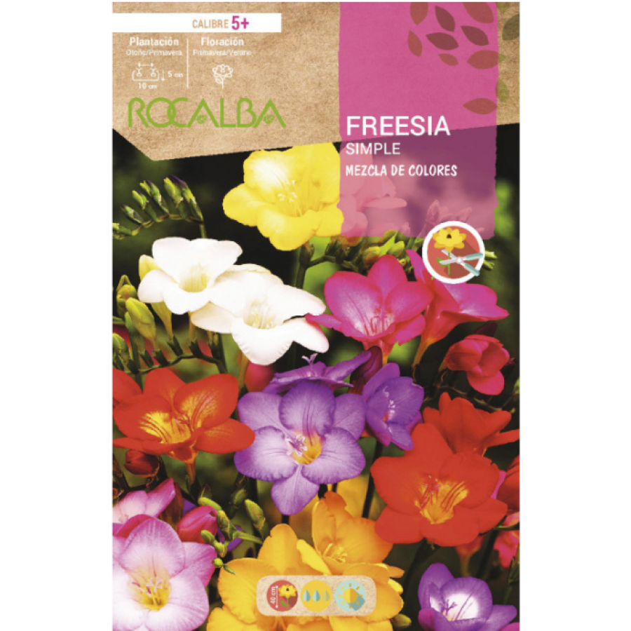 S.BOLBO RO.GAVETA 150 FRESIAS SIMPLES MISTURA DE CORES -BUFD1435 S.BOLBO RO.GAVETA 150 FRESIAS SIMPLES MISTURA DE CORES -BUFD1435