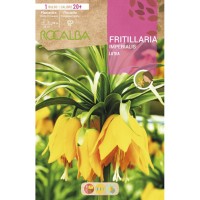 S.BOLBO RO.GAVETA 10  FRITILLARIAS IMPERIALIS LUTEA AMARELO-BUFT1565