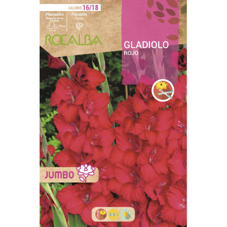 S.BOLBO RO.GAVETA GALADIOLO JUMBO ROJO  -BUGJ2200