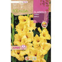 S.BOLBO RO.GAVETA GALADIOLO JUMBO AMARELO  -BUGJ2205