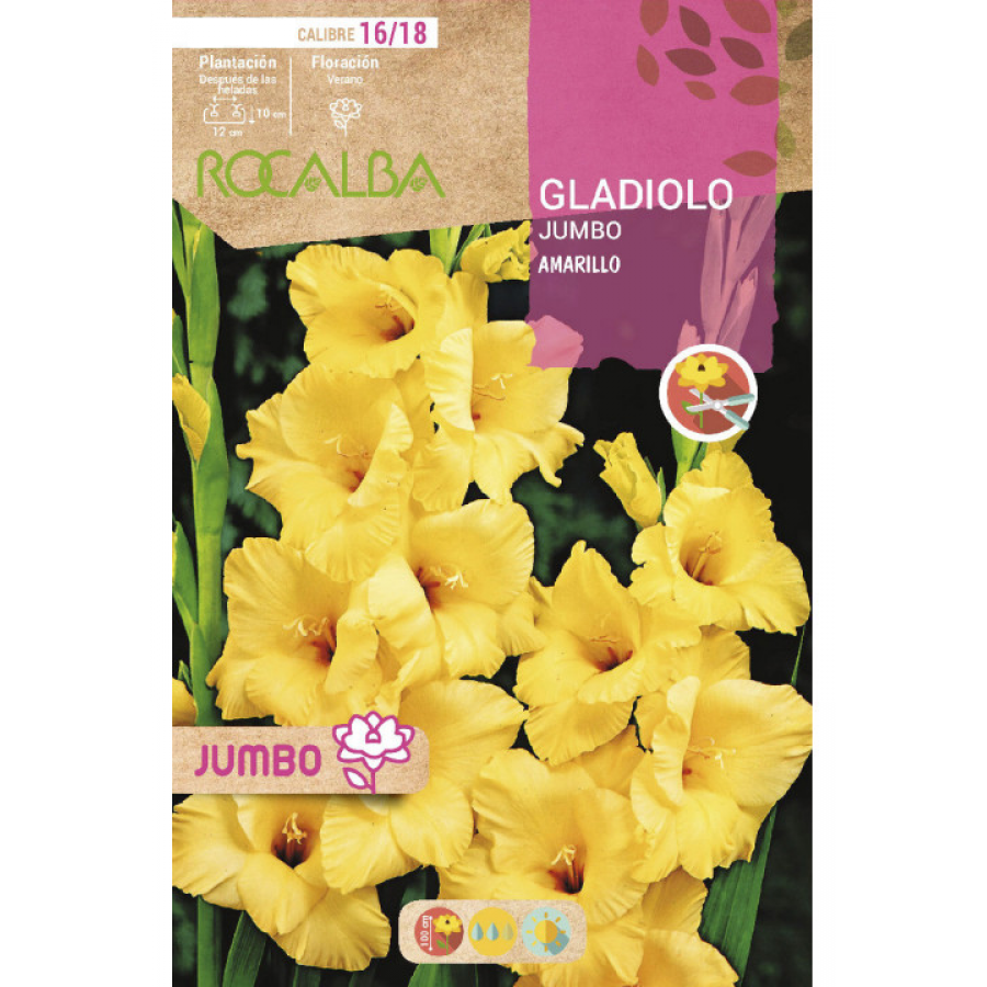 S.BOLBO RO.GAVETA GALADIOLO JUMBO AMARELO  -BUGJ2205