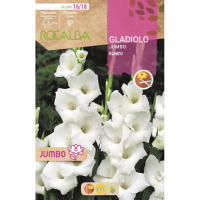 S.BOLBO RO.GAVETA GALADIOLO JUMBO BRANCO  -BUGJ2210
