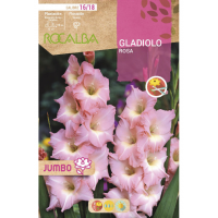 S.BOLBO RO.GAVETA GALADIOLO JUMBO ROSA  -BUGJ2215