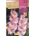 S.BOLBO RO.GAVETA GALADIOLO JUMBO ROSA  -BUGJ2215