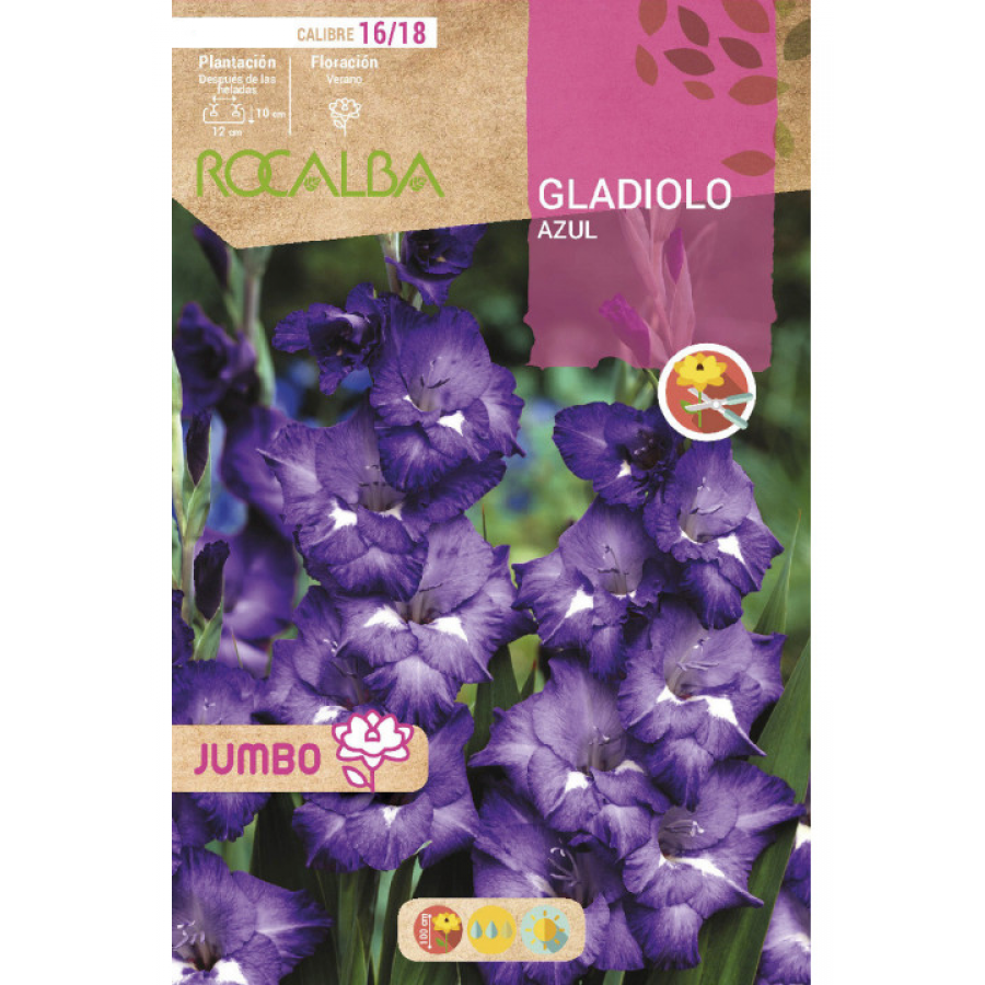 S.BOLBO RO.GAVETA GALADIOLO JUMBO AZUL  -BUGJ2220