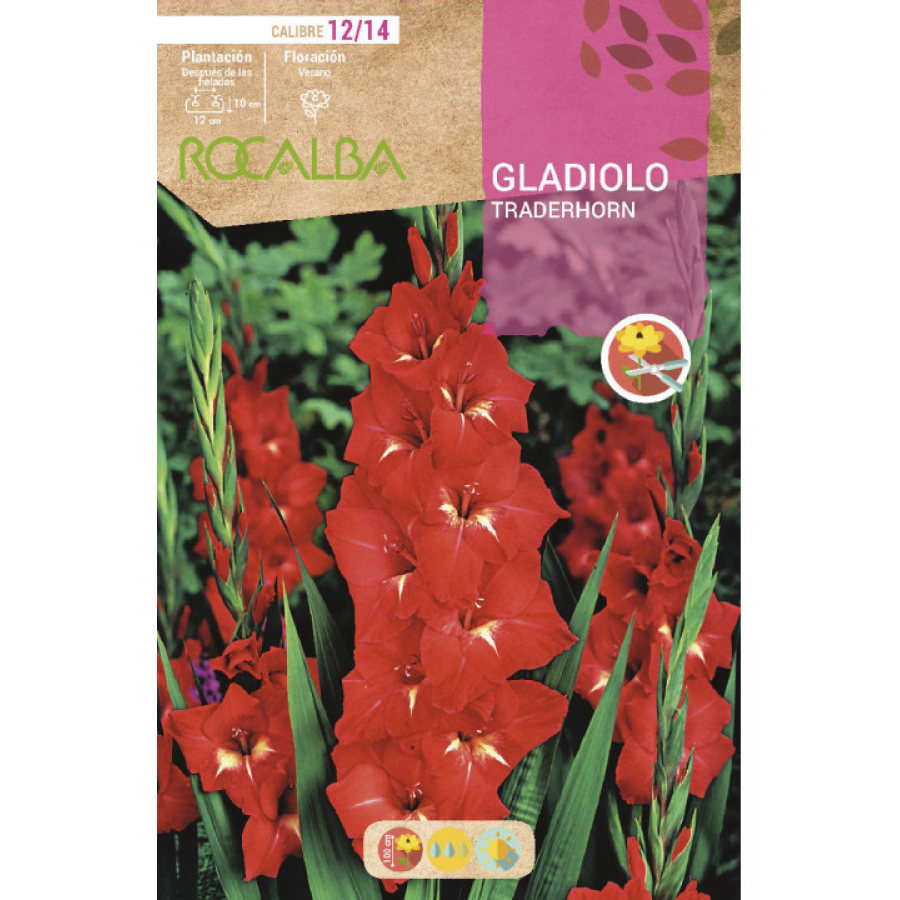 S.BOLBO RO.GAVETA GALADIOLO TRADERHORN - BUGL2005