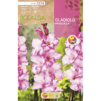 S.BOLBO RO.GAVETA GALADIOLO PRESQUILHA -BUGL2035