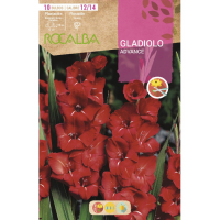 S.BOLBO RO.GAVETA GALADIOLO ADVANCE ROJO - BUGL2065