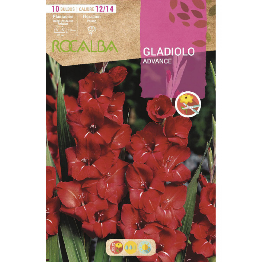 S.BOLBO RO.GAVETA GALADIOLO ADVANCE ROJO - BUGL2065