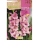 S.BOLBO RO.GAVETA GALADIOLO DECISO ROSA - BUGL2070