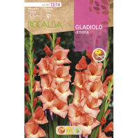 S.BOLBO RO.GAVETA GALADIOLO JESSICA -BUGL2080