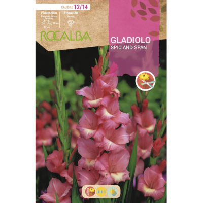 S.BOLBO RO.GAVETA GALADIOLO SPIC AND SPAN -BUGL2090