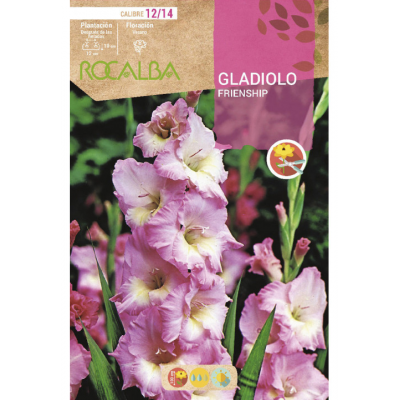 S.BOLBO RO.GAVETA GALADIOLO FRIENDSHIP ROSA - BUGL2095