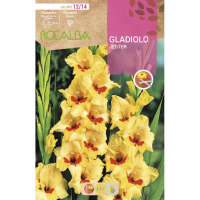 S.BOLBO RO.GAVETA GALADIOLO JESTER AMARELO-BUGL2100