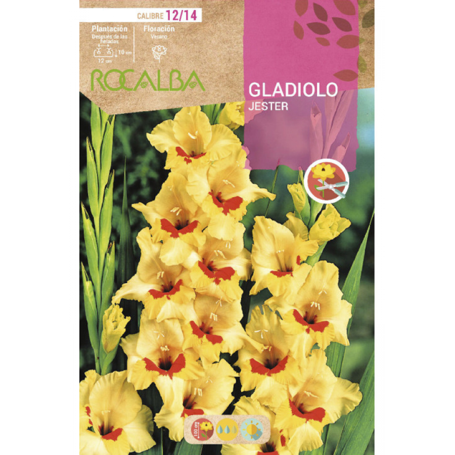 S.BOLBO RO.GAVETA GALADIOLO JESTER AMARELO-BUGL2100