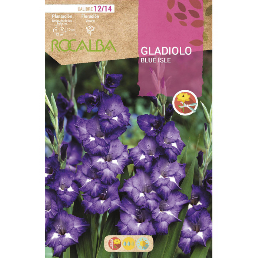 S.BOLBO RO.GAVETA GALADIOLO BLUE ISLE - BUGL2105