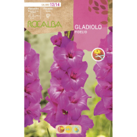 S.BOLBO RO.GAVETA GALADIOLO FIDELIO - BUGL2125