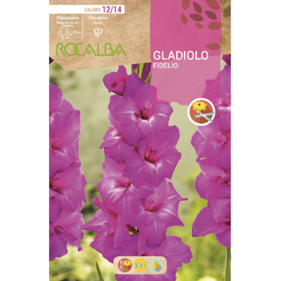 S.BOLBO RO.GAVETA GALADIOLO FIDELIO - BUGL2125