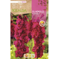 S.BOLBO RO.GAVETA GALADIOLO PLUMTART - BUGL2135