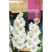 S.BOLBO RO.GAVETA GALADIOLO WHITE FRIENDSHIP - BUGL2150