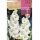 S.BOLBO RO.GAVETA GALADIOLO WHITE FRIENDSHIP - BUGL2150