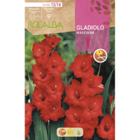 S.BOLBO RO.GAVETA GALADIOLO MASCAGNI ROJO -BUGL2155