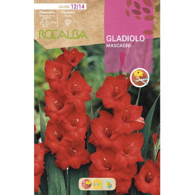 S.BOLBO RO.GAVETA GALADIOLO MASCAGNI ROJO -BUGL2155