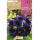 S.BOLBO RO.GAVETA GLOXINIAS VIOLETA - BUGX2965