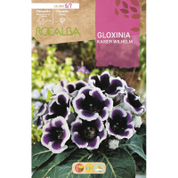 S.BOLBO RO.GAVETA GLOXINIAS AZUL - BUGX2990