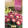S.BOLBO RO.GAVETA GLOXINIAS ROSA - BUGX2995