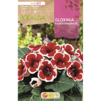 S.BOLBO RO.GAVETA GLOXINIAS ROJO - BUGX3000